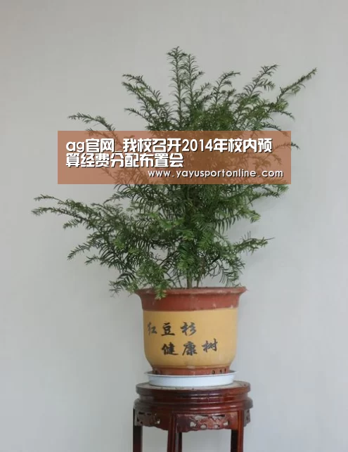 ag官网_我校召开2014年校内预算经费分配布置会(图4) ag亚游集团
