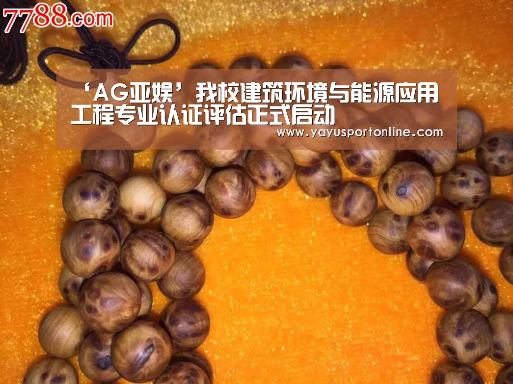 ‘AG亚娱’我校建筑环境与能源应用工程专业认证评估正式启动(图1) ag官网
