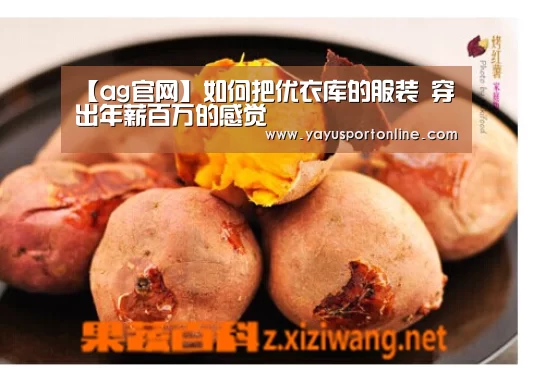 ag百家乐