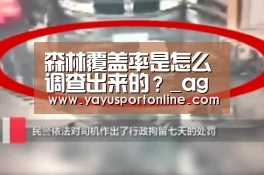 ag百家乐