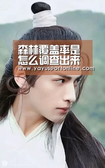 ag百家乐