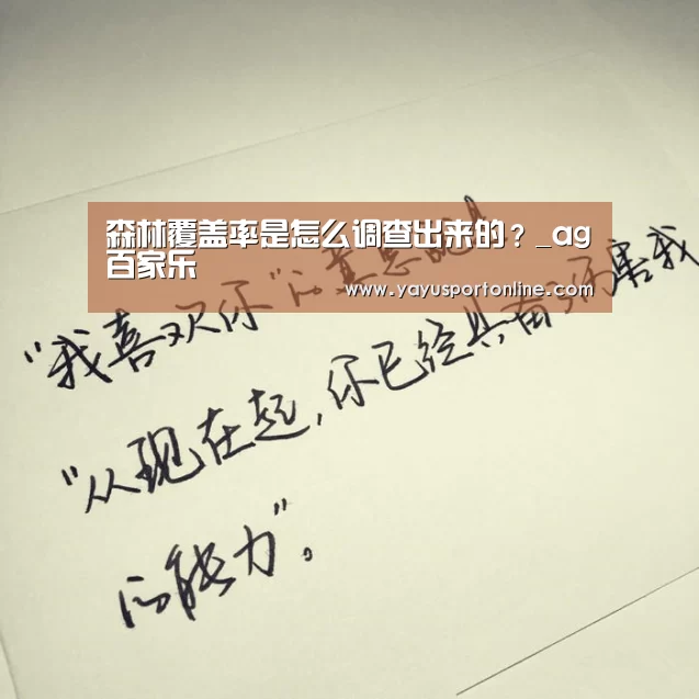 ag百家乐